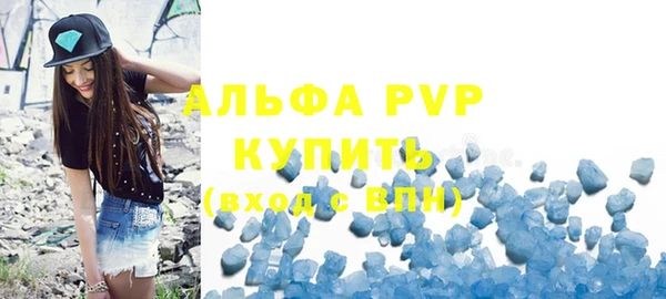 прущие грибы Няндома