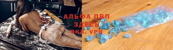 прущие грибы Няндома