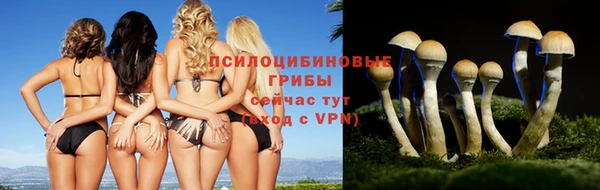 каннабис Новокубанск