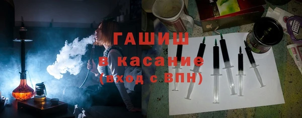 гашик Новозыбков