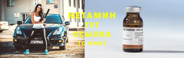 прущие грибы Няндома