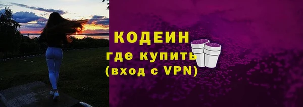 гашик Новозыбков