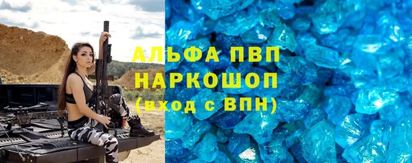 гашик Новозыбков