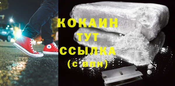 гашик Новозыбков