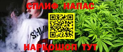 индика Аргун
