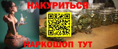 индика Аргун