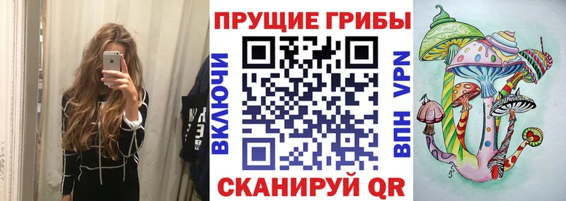 закладка  Апрелевка  Псилоцибиновые грибы мухоморы 
