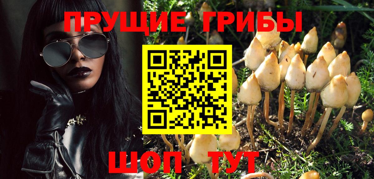 где купить наркотик  Галлюциногенные грибы Psilocybe  Вход с VPN  Апрелевка 