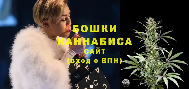 Канабис White Widow  KRAKEN зеркало  Апрелевка 